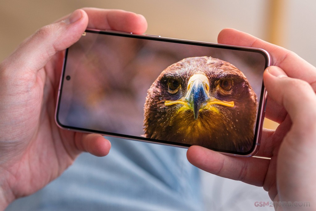 birdcat Google Pixel 7 pro vs Samsung S23  - Which one is the Best in 2023?