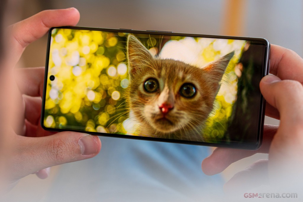 in-hand-cat Google Pixel 7 pro vs Samsung S23  - Which one is the Best in 2023?