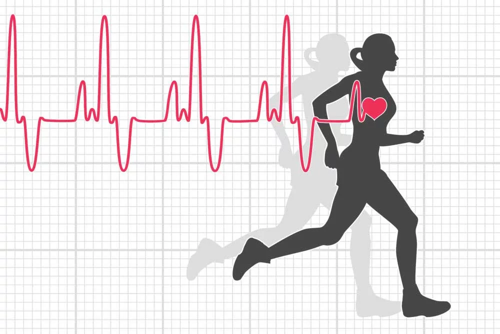 heart-rate The Best Heart Monitor Watch of 2024 - Full Guide